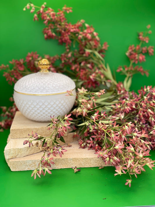 Christmas Bush - Large Soy & Coconut Candle (45 hours burn time - cotton wick)