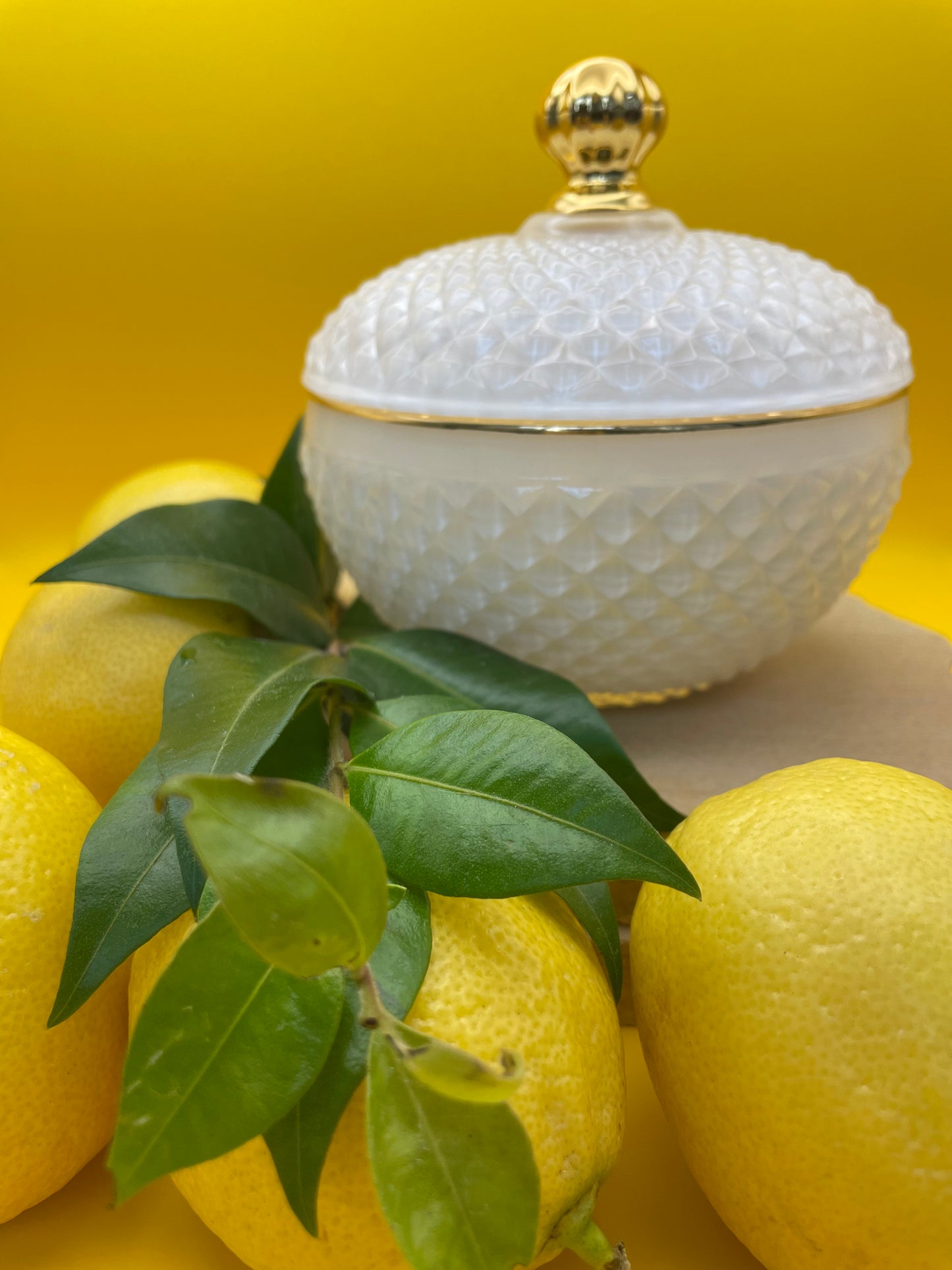 Lemon Myrtle - Soy & Coconut Candle (45 hours burn time - cotton wick)